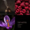 Mystic Voyage – Luxurious Oud Perfume by Efe Perfumes