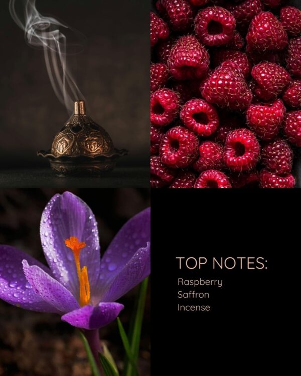 Mystic Voyage – Luxurious Oud Perfume by Efe Perfumes