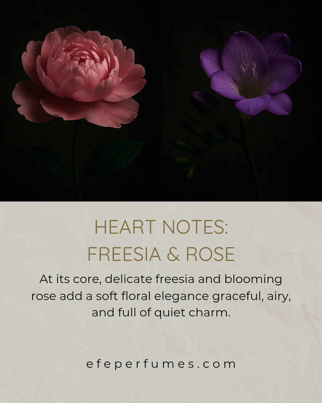 Spring Haze – Elegant Floral & Fruity Perfume by Efe Perfumes