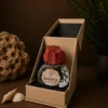Amber Reef by Efe Perfumes – Amber Vanilla Gourmand Eau De Parfum from the Drift Collection