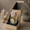 Ocean Jade by Efe Perfumes – Marine Woody Amber Eau De Parfum from the Drift Collection